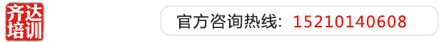 硬吊日本黑妞齐达艺考文化课-艺术生文化课,艺术类文化课,艺考生文化课logo